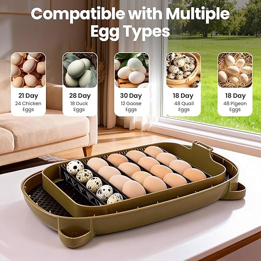 Incubators for Hatching Eggs,24 Eggs Capacity with Automatic Turning, Accurate Temp & Humidity Control, Egg Candler, Air Vent, and 360° Viewing for Chicken, Duck, Quail & Goose Eggs
