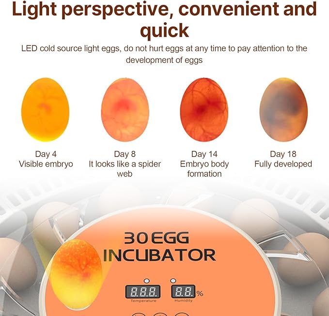 30 Eggs Incubator with Automatic Egg Turning with External Injection Water Bottle - Household Small Poultry Hatching Machine with Egg Candler Light for Chicken, Ducks, Pigeons,Bird (US Plug)