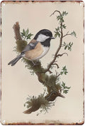 Sanwarm Metal Sign 8X12 Inch, Chickadee Bird Chickadee Retro Wildlife Vintage Tin Sign Wall Art Decor for Home, Living Room, Kitchen, Garden, Bedroom, Office, Hotel, Cafe And Pub Decoration