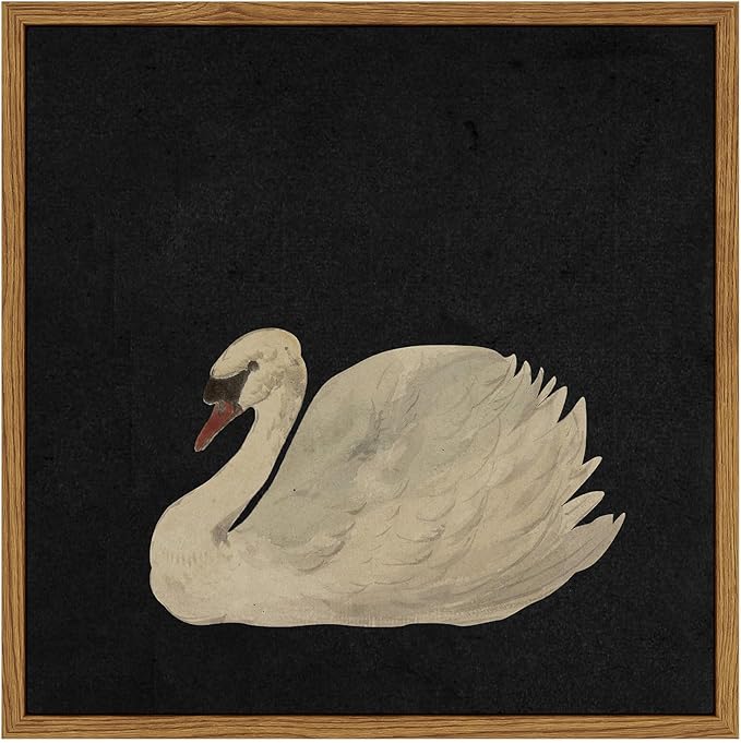 InSimSea Framed Canvas Wall Art Swan Art Framed Wall Decorations, Grace Swan Painting Pictures Rustic Bathroom Wall Decor, Farmhouse Wall Decor for Living Room, Bedroom, Office Decor 10X10in