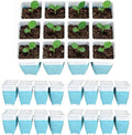 Planting Trays for Seedlings - 60 Cells Reusable Silicone Starter | Seedling Square Trays - for Indoors Gardening House Potted Lawn Vegetable Flower Farm Windowsill