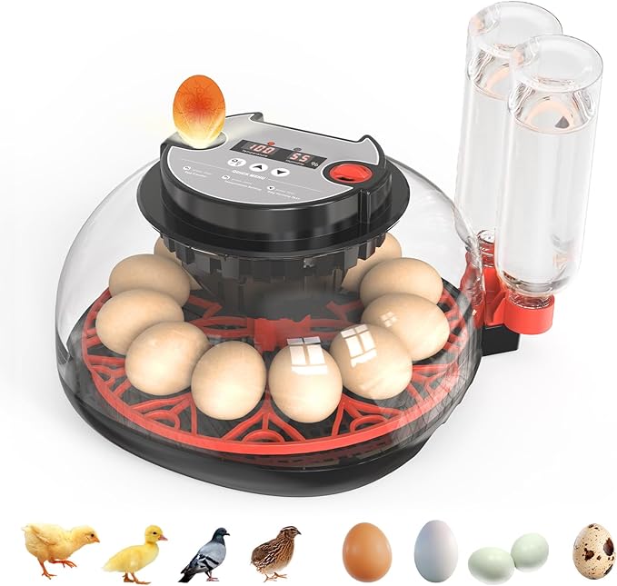 NWH 12 Egg Incubator with Temperature and Humidity Control, Adjustable Turning Time, Automatic Dual Water Bottle Refill, Candling Light, Air Vent, Incubators for Hatching Eggs, Chicken, Ducks, Goose