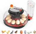 NWH 12 Egg Incubator with Temperature and Humidity Control, Adjustable Turning Time, Automatic Dual Water Bottle Refill, Candling Light, Air Vent, Incubators for Hatching Eggs, Chicken, Ducks, Goose