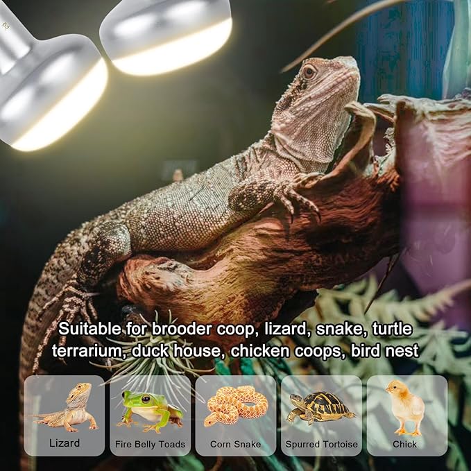 Reptile Heat Lamp 100W, 2 Pack Intense UVA Basking Light Bulbs, Flat-Base Heat Emitter, Heat Lamp Bulb for Reptile Chick