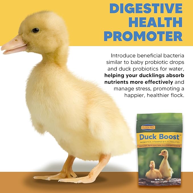 Flock Pro's Duck Boost Essential Waterfowl Supplement with Probiotics, Brewers Yeast Powder & Organic Oregano - 8 oz (22.5 Gal)