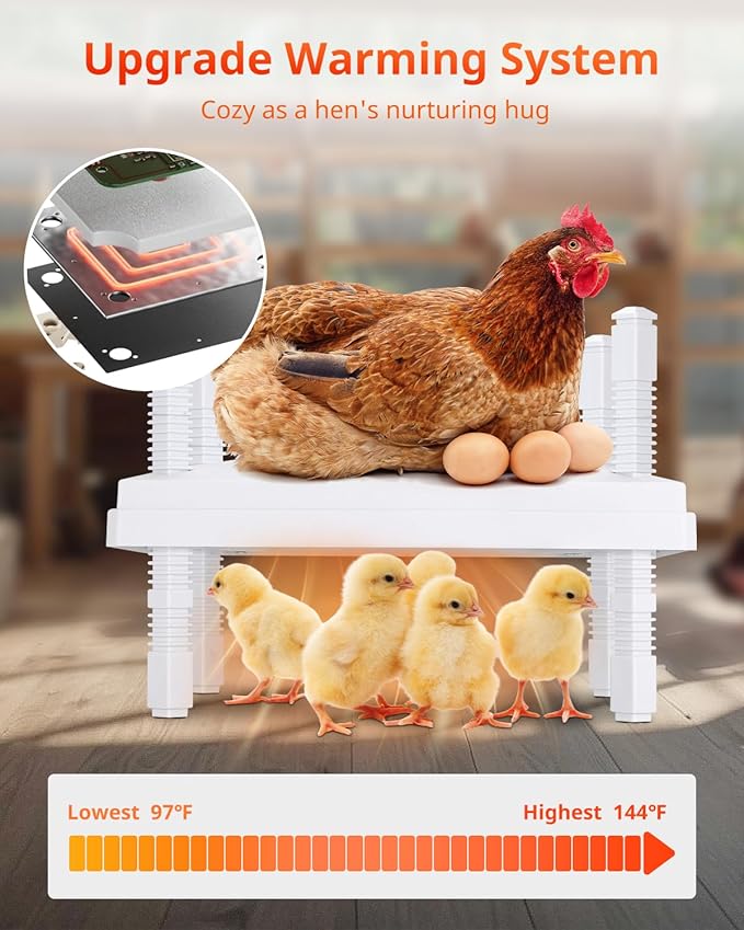Chick Brooder Heating Plate, 12"x12" Chick Heat Plate with Adjustable Height & Angle, 30W Lower Energy Chick Heater Brooder Plate with Temperature & Time Control, Suitable for 20 Baby Chicks