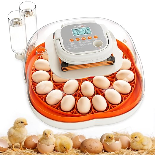 25 Egg Incubator, Extra-Large Interior with High Protective Wall, Top Carry Handle, Automatic Egg Turner, Preset Incubation Period, Auto Water Refill, for Chicken, Quail & Duck Eggs, APDOE HatchPro 25