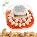 25 Egg Incubator, Extra-Large Interior with High Protective Wall, Top Carry Handle, Automatic Egg Turner, Preset Incubation Period, Auto Water Refill, for Chicken, Quail & Duck Eggs, APDOE HatchPro 25