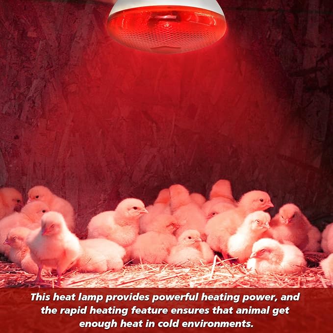 250W Red Heat Lamp Bulbs Infrared Flood Light for Chicken (2-Pack), Heat Light Bulb for Brooder Coop, Chickens Chicks Puppies Reptiles Livestock Poultry Use E26 Base