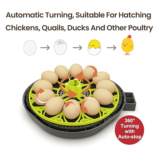 Incubators for Hatching Eggs 12 Egg Incubator with Automatic Egg Turning and Humidity Control,Egg Candler,Auto Water Replenishment,for Chicken Eggs and Quail Egg M12H