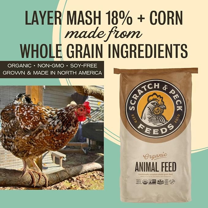 Scratch and Peck Feeds Whole Grain Layer Mash + Corn Chicken and Duck Feed - 40 lbs Bag - Soy-Free - 18% Protein, Certified Organic and Non-GMO Project Verified Chicken Food