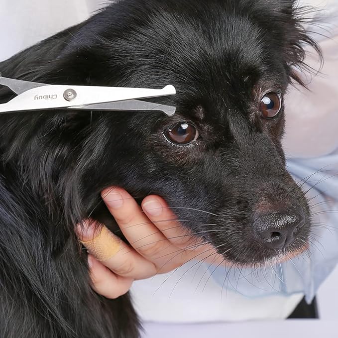 Professional Pets Grooming Scissors Set Stainless Steel Dog Eye scissors Thinning Shears for Dogs and Cats, Home pet grooming Tool kit 5 Ink