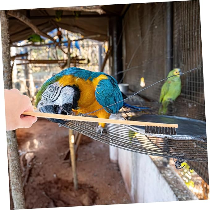 Sosoport 2pcs Bird Cage Cleaning Brush Set Pet Bird Cage Cleaner Small Animal Enclosure Tools Garden Shovel Reptile Hedgehog Accessories Pet Supplies
