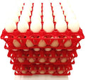 Rite Farm Products 24 30 Egg Poly Chicken Trays Shipping Carton Poultry Flat