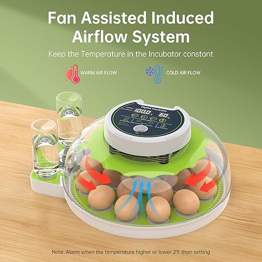 8 Egg Incubator with Automatic Egg Turning, Temperature & Humidity Control, Egg Candler, Mini Digital Incubator for Hatching Chicken Duck Quail Goose Bird – Home & Classroom Use