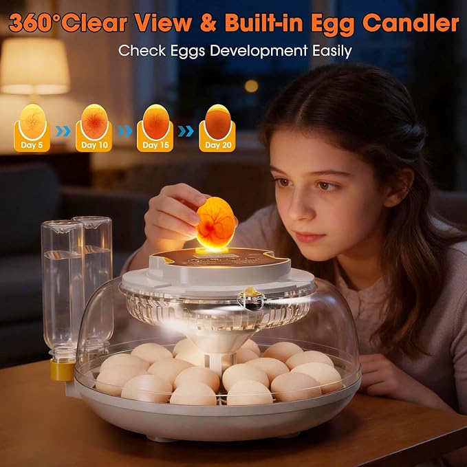 18 Egg Incubator with Automatic Egg Turning & Humidity Control, Built-in Egg Candler, 360° View Window & Dual-Size Trays for Chicken, Duck, Quail, Goose Eggs – Ideal for Farm, Classroom, Home