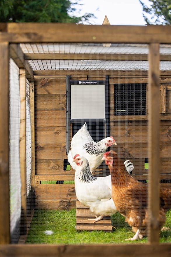 ChickenGuard Automatic Chicken Coop Door Opener, Power by Solar/Batteries/Electric. Strong Motor Lifts 2kg; Timer/Light Sensing; Motor Units only or Combination Kits (PRO + Door + Batteries)