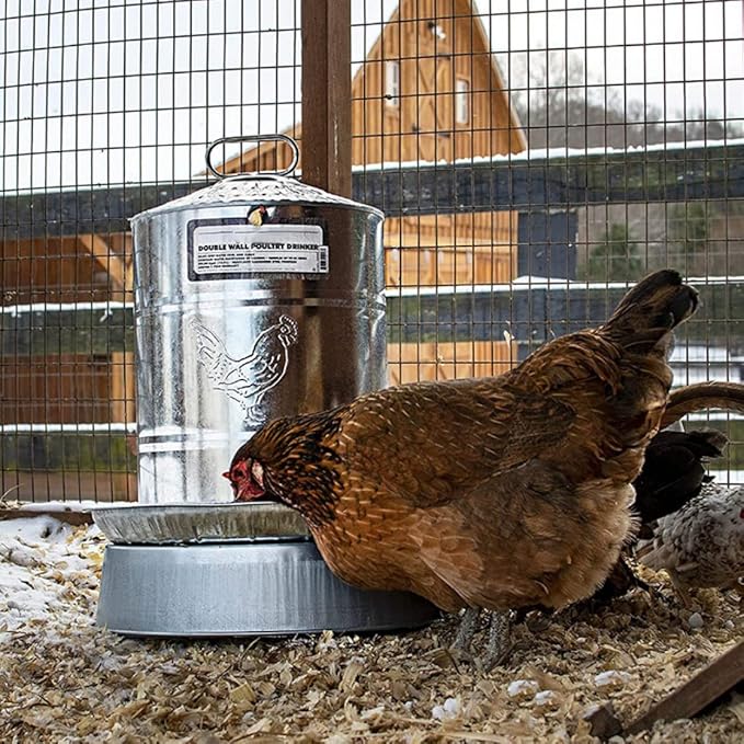Chicken Water Heater Poultry Waterer Heated Base Metal Winter Deicer Chicken Drinking Fountain Heater Style1