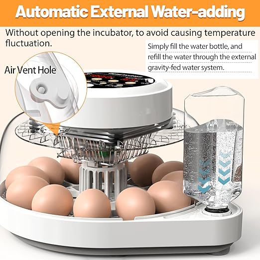 12 Egg Incubator for Hatching Eggs with Automatic Egg Turning, Temperature & Humidity Control Display, Built-in LED Egg Candler, External Water Adding System, Chicken Duck Quail Hatcher