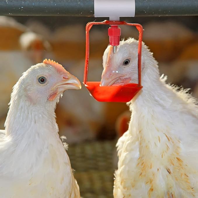 Outus 50 Pack Chicken Waterer PVC Tee Fittings, Fully Automatic Poultry Waterer PVC Fittings for Threaded Chicken Water Nipples, Cups, Drinker, Feeder, Duck, Quail, Turkey Coop Accessories, White