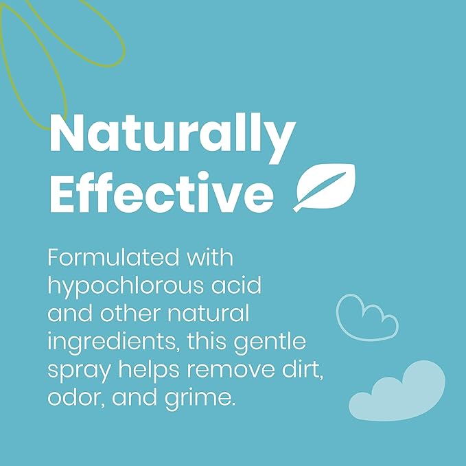 Good Salt Pet Bird Feeder & Birdhouse Cleaner, Natural Bird-Friendly Spray Formula, Made in the USA, 32 Ounce Bottle, 2-Pack
