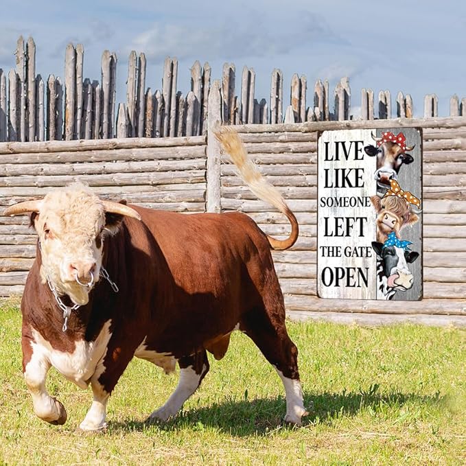Vintage Cow Decor Sign Live Like Someone Left The Gate Open Tin Sign for Home Farm Fence Bathroom Bedroom Wall Decor 8x12 Inches, Highland Cow Decor for Country Cottage Farm Yard