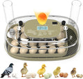 24 Egg Incubator, Incubators for Hatching Eggs with Fully Automatic Turner & Candler, Smart Temperature & Humidity Control, 360° View, Hatching Chicken, Duck, Quail, Goose Eggs for Farm, Home, School
