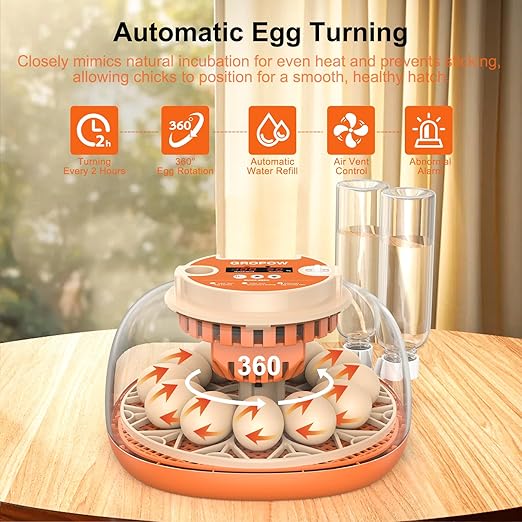 12 Egg Incubator, Automatic Turning with Temperature & Humidity Control, Egg Candler, 360 View with Air Vent, Auto Water Bottle Refill, Chicken Incubator for Hatching Eggs