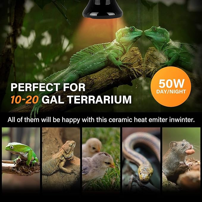 Simple Deluxe 50W Mini Reptile Heat Lamp Bulbs, Pack of 4 Ceramic Heat Emitters for Amphibian Pet & Incubating Chicken (Black, 50 Watts)
