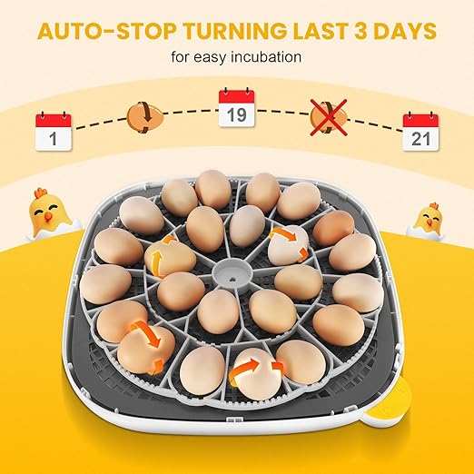 Sailnovo Incubator for 24 Eggs, 4 Modes Egg Incubator with Automatic Egg Turning, Temperature Control and Humidity Alarm - 360°View with Clear Window Incubators for Hatching Chicks(Grey)