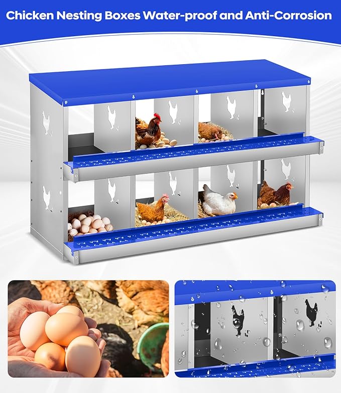 Chicken Nesting Box for Laying Eggs, 6 Compartment Metal Nesting Box,Wall Mount Chicken Nesting Boxes,Easy Egg Collection,Laying Boxes for Chickens Coop to Protect Eggs (Blue, 8 Compartment)