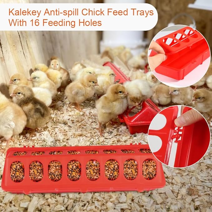 6PCS Chick Feeder and Waterer Set with Perch, 2 Feeders & 50 Chicken Leg Bands, Poultry Starter Kit for Baby Chicks, Ducks, Quail (0.3 Gal Waterer, 2.2Lb Feeder)