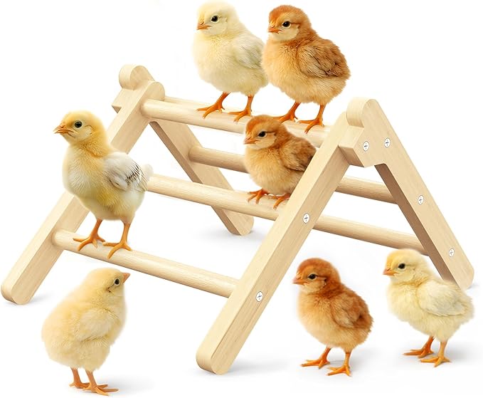 Innoland Chick Perch Foldable, Chick Toys Stable & No Assemble, Baby Chick Toys for Stand Training, 12.44" ×11.02" ×7.44" Chick Roosting Perch for Chicks Brooder | Coop (L)