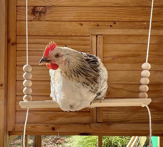 Bird Swing Wooden Hanging Chicken Swing Stand Suspension Bridge Budgie Climb Chew Toys Roosting Bar Coop Brooder Entertainment Toys Birdcage Accessories