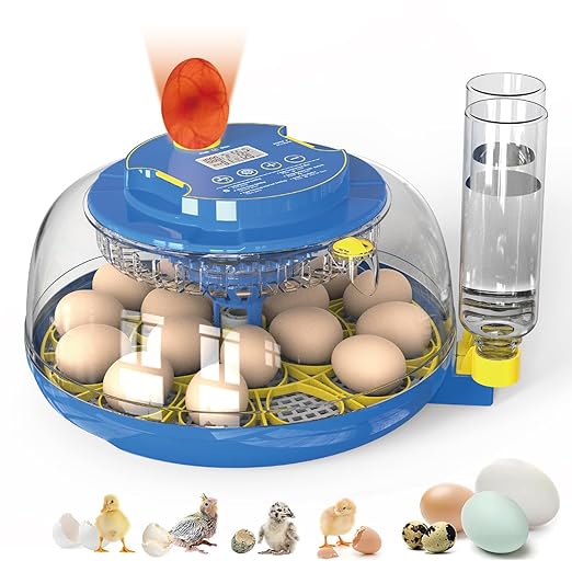 18 Egg Incubator with Automatic Egg Turning & Humidity Control - Perfect for Hatching Chicken, Duck, and Quail Eggs | 360° Viewing Window, Temperature Control, Ideal for Farm, Lab