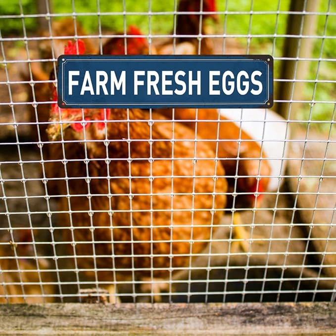 Farm Fresh Eggs Sign Chicken Coop Signs Farmers Market Decor Funny Outdoor Farm Fresh Chicken Wall Decor Accessories Farmers Market Decorations 4x16 Inch