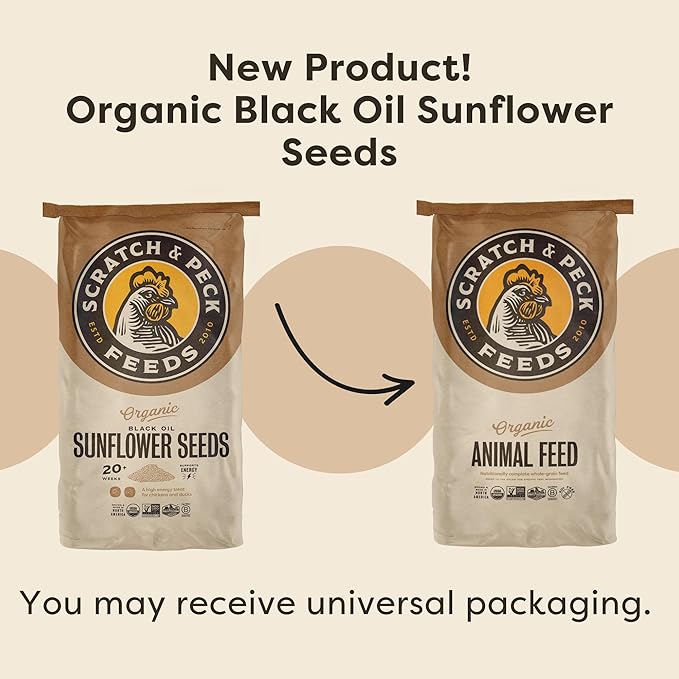 Scratch and Peck Black Oil Sunflower Seeds Chicken and Duck Treat - 25 lbs Bag - 15% Protein, Certified Organic and Non-GMO Project Verified Chicken Food