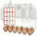 Tanlade 100 Pcs Plastic Egg Carton, 12 Grids Clear Chicken Egg Tray Disposable Plastic Holder Empty Container for Farm Refrigerator Fresh Storage