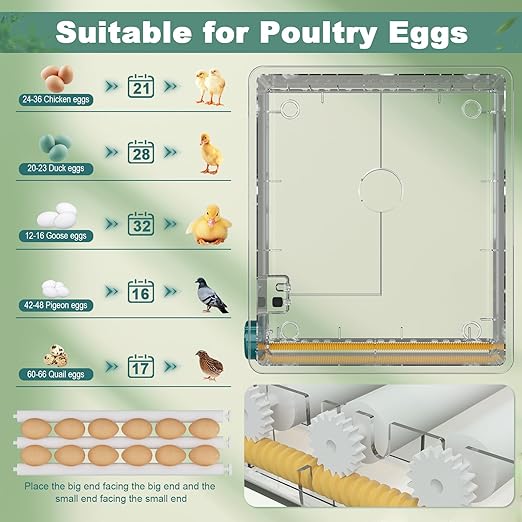 36 Eggs Incubators for Hatching Eggs,Egg Incubator with 4 Automatic Incubate Mode,Chicken Incubator with Automatic Egg Turning Humidity Monitoring,Poultry Egg Incubator with Egg Candle