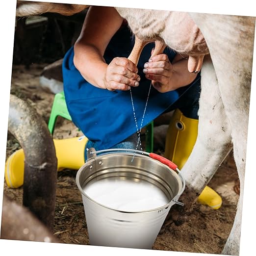 BESPORTBLE Heavy Duty Bucket with Lid Water Buckets for Farm Multi-Functional Pail for Dairy