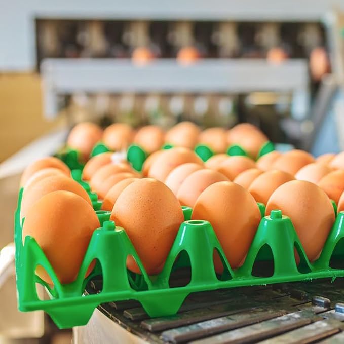 Plastic Egg Box, 20 Pack Green Stackable Cartons, Holds 30 Eggs, for Storing and Shipping