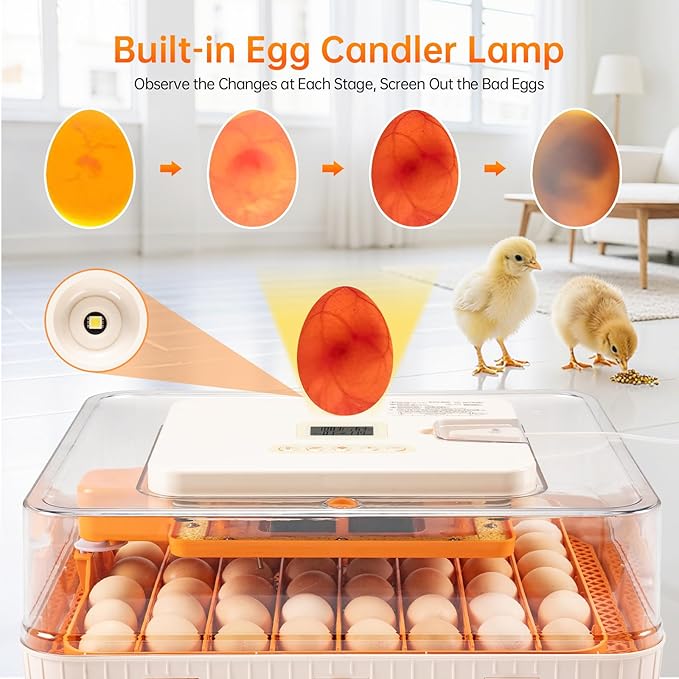 56 Egg Incubator for Hatching Eggs–Smart Auto Turner & Humidity Control, 360° View, Built-in Candler |Hatching Kit with Chick Helmet for Chicken, Duck, Quail | Ideal for Home & Classroom