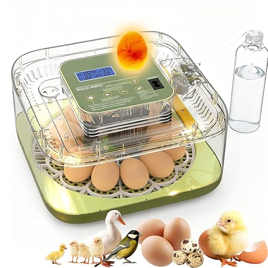 XOTTI Incubator for Hatching Egg, 12 Egg Incubators with Temperature and Humidity Control, Automatic Turner, Candler, 360° Viewing for Dry Hatch Chicken, Duck, Quail, Goose, Parrot and Pigeon