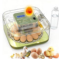 XOTTI Incubator for Hatching Egg, 12 Egg Incubators with Temperature and Humidity Control, Automatic Turner, Candler, 360° Viewing for Dry Hatch Chicken, Duck, Quail, Goose, Parrot and Pigeon