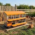 Chicken Nesting Box 10-Hole Roll Away Egg Laying Box with Lid, Galvanized Steel Rustproof Poultry Coop Box, Easy Clean, Wall Mountable No Bracket Needed for Hens, Orange