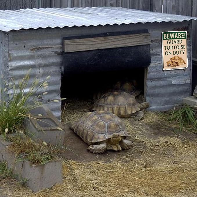Tortoise Habitat Accessories Turtle Enclosure Decor - Outdoor Habitat Setup for Sulcata Tortoise, Beware Guard Tortoise On Duty Metal Tin Sign Gifts for Tortoise Lovers 8x12 Inch