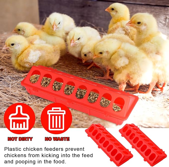 4 Plastic Flip Top Bird Small Poultry Feeder for Pigeon Chicken Small Poultry Feeder Duckling Quail Drinker No Mess No Waste Multihole Birds Feeding Dish Dispenser(Red)