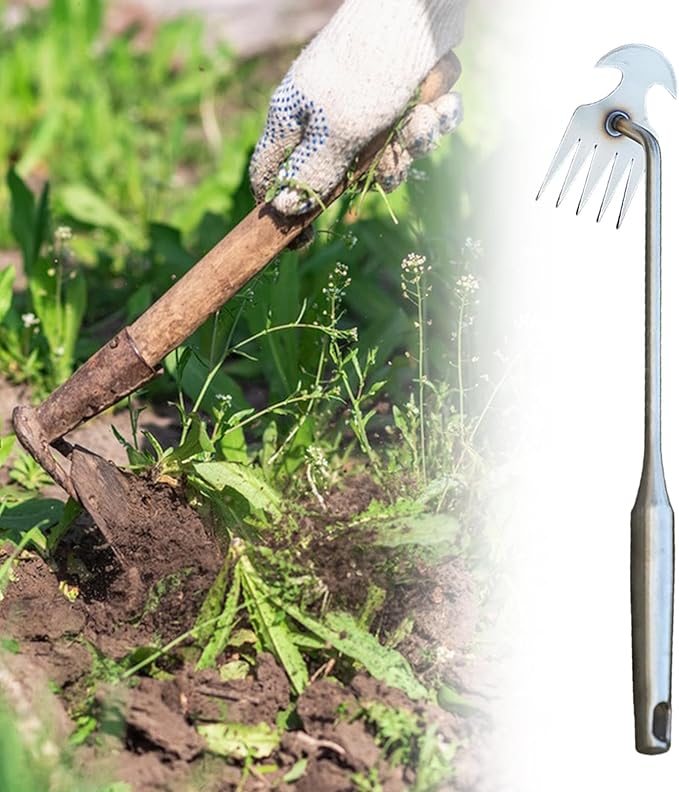 Weeds Puller Weeding Rake, with Handle, Uprooting Garden Weeding Tool Stainless Steel for Lawn Farm Outdoor Backyard, 5 Teeth, 37.5cmx9.5cmx5.3cm