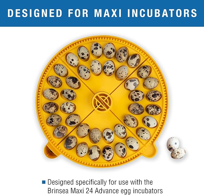 Brinsea Small Egg Quadrant Insert for Maxi Advance Incubator System, Fits 40 Pheasant or Quail-Size Eggs