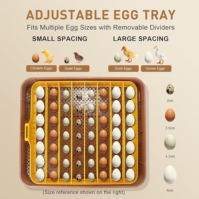 Automatic 56-Egg Incubator for Breeders, Sensor-Based Precise Humidity+Temp Control, Chick Separator, Adjustable Egg Spacing, Custom-Interval Auto Turn+Auto Stop,Preset Incubation Days
